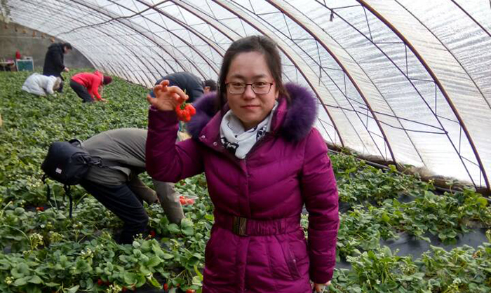 天泰志远员工采摘草莓